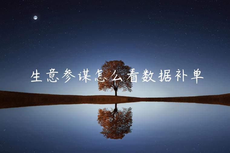 生意參謀怎么看數(shù)據(jù)補(bǔ)單